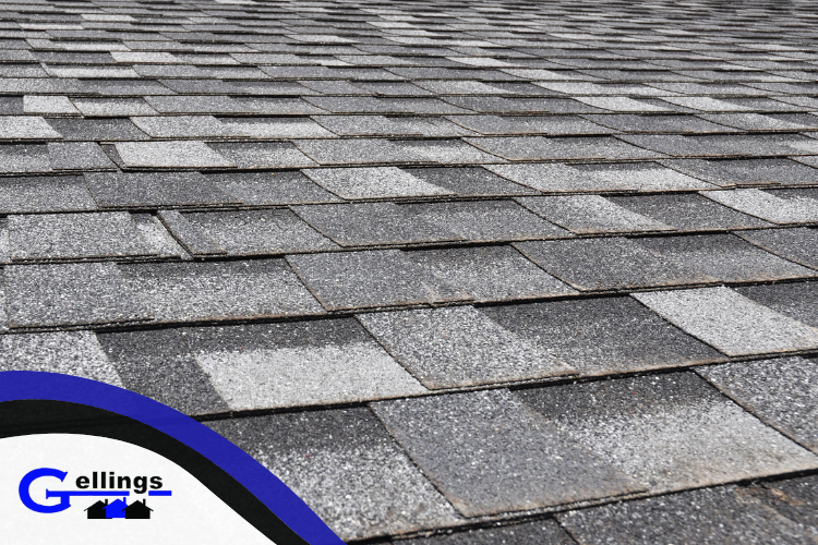 sunny-day-roof-inspection | Sheboygan county roofer