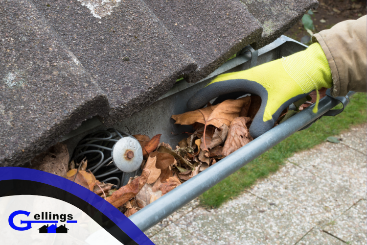 Gellings Roofing & Siding Expert Roof Inspection