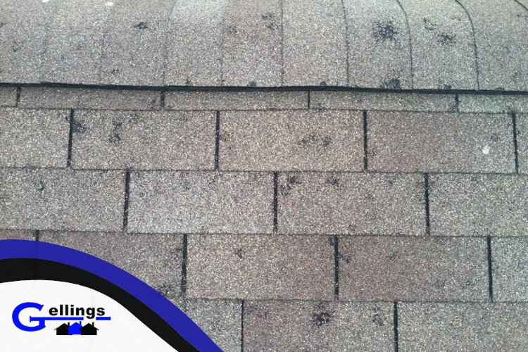 GAF-certified Gellings Roofing & Siding team assessing roof damage post-storm.