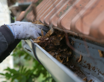 Rainwater gutter maintenance | Contact your local Sheboygan County roofer for professional help!