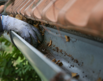Clearing debris from gutters to prevent roof damage.